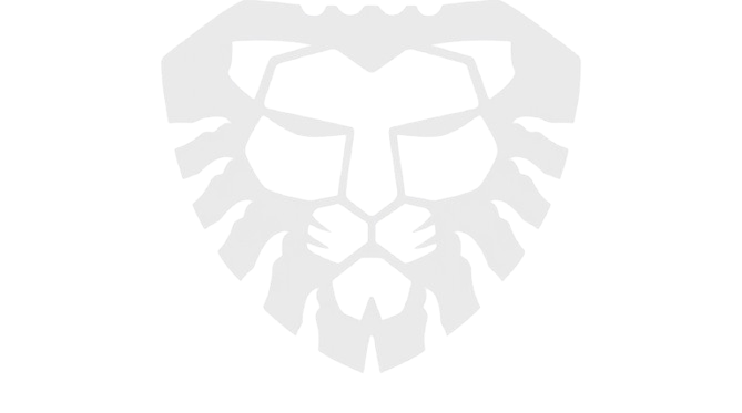 Lion Group